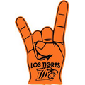 Hook'Em Horns Hand Foam Hand Mitt (19")